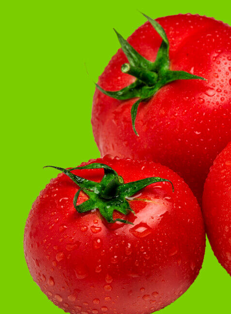 trzy pomidory na zielonym tle